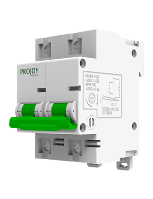 PEBS-L PROJOY ΑΣΦΑΛΕΙΟΔΙΑΚΟΠΤΗΣ DC 80A 2P 160V